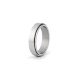 silver stainless steel fidget ring for men